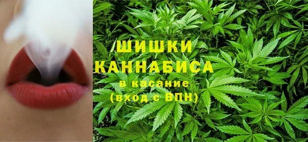 прущая мука Алзамай