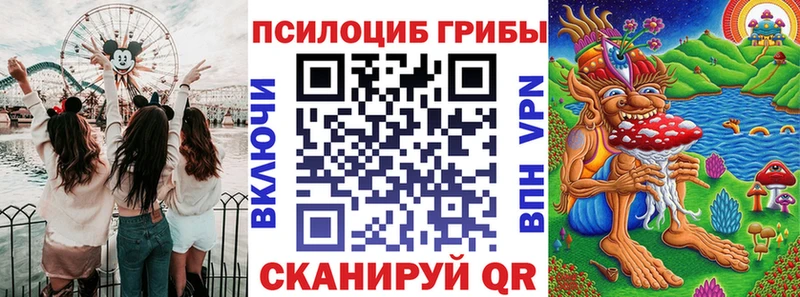 Галлюциногенные грибы Psilocybine cubensis  Рославль 